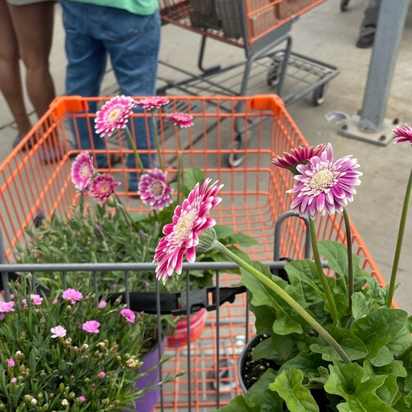 Meet your Posher, Traci - Picture 1 of 1